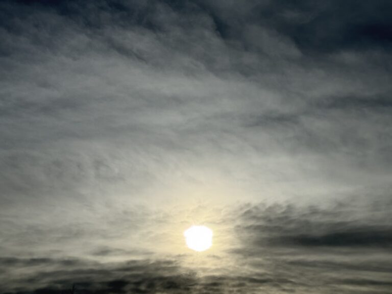 Edmonton · afternoon (IMG_0819)