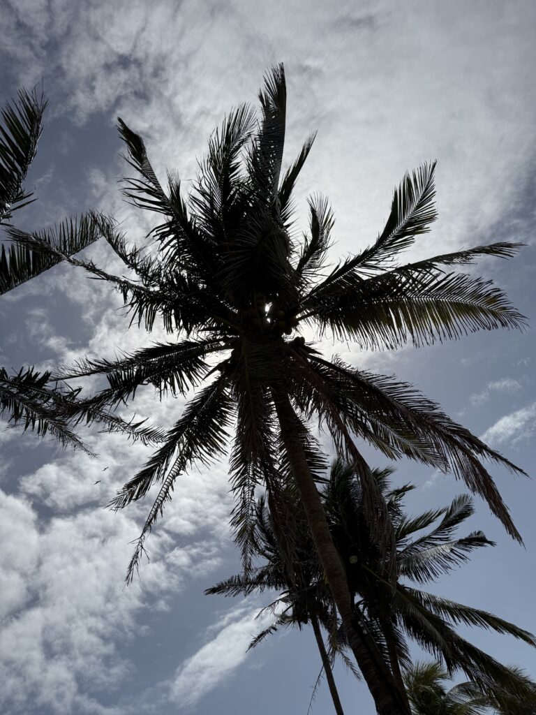 Cancún — 2025-02-13 11:53